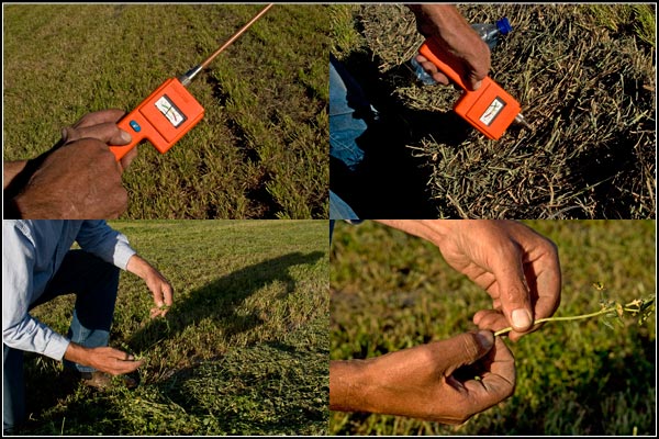 رطوبت سنج یونجه